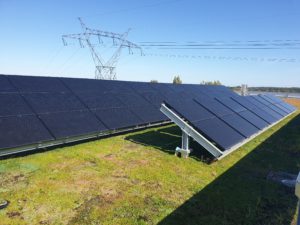 paneles solares sobre una cubierta vegetal vertige